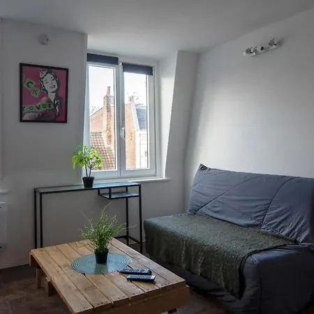 Apartment Royale Vieux 24h24h Access *