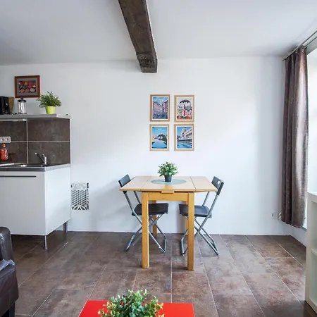 Apartment Royale Vieux 24h24h Access Lille